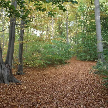 Moewenblick Апартаменты *