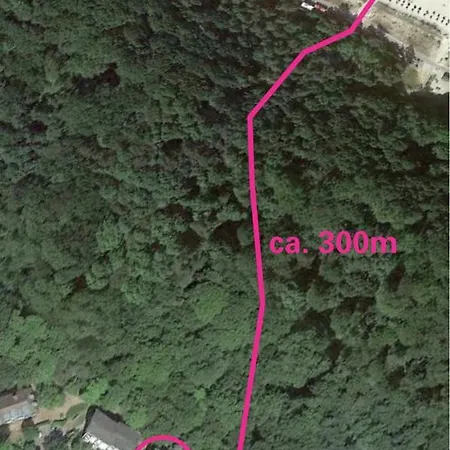 Moewenblick * Зеллин