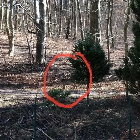 Apartament Moewenblick *