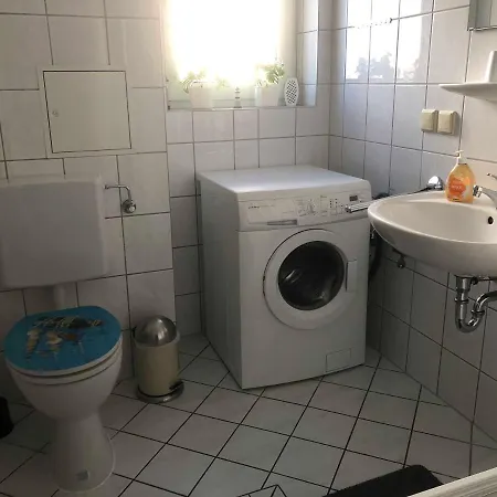 Möwenblick